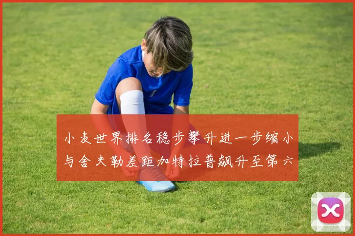 小麦世界排名稳步攀升进一步缩小与舍夫勒差距加特拉普飙升至第六位