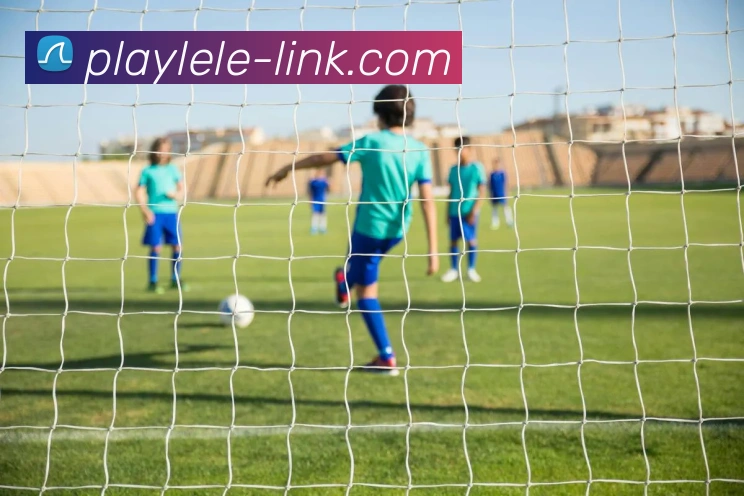 乐乐捕鱼官网 | 专注深海狩猎、玩法技巧与新版本深度报道门户发展历程