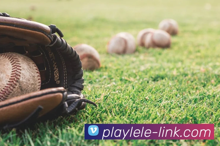 乐乐捕鱼官网 | 专注深海狩猎、玩法技巧与新版本深度报道门户APP 封面图